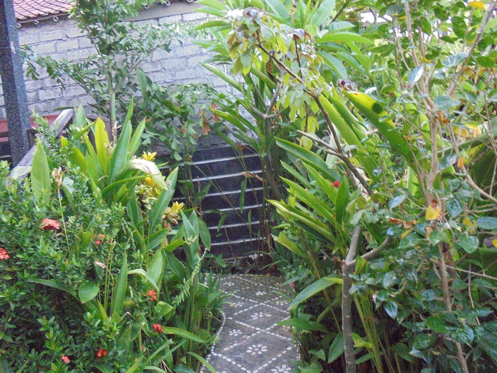 Titi Sedana Homestay آميدْ المظهر الخارجي الصورة